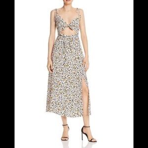 Phoebe Animal Print Maxi Dress